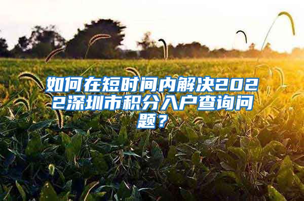 如何在短时间内解决2022深圳市积分入户查询问题？