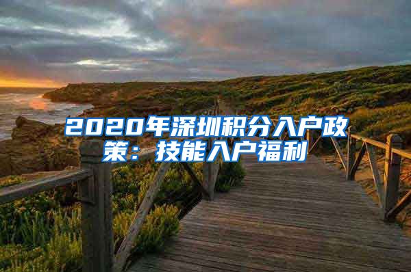 2020年深圳积分入户政策：技能入户福利