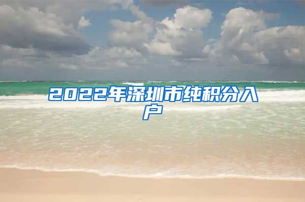 2022年深圳市纯积分入户