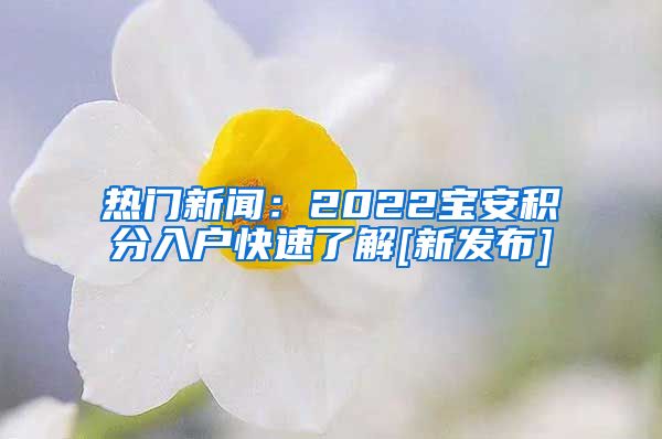 热门新闻：2022宝安积分入户快速了解[新发布]