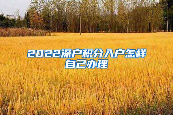 2022深户积分入户怎样自己办理