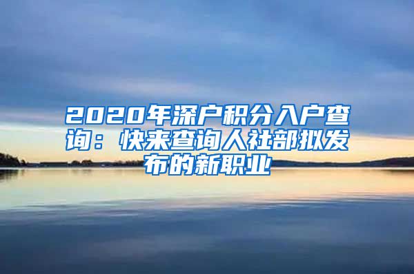 2020年深户积分入户查询：快来查询人社部拟发布的新职业