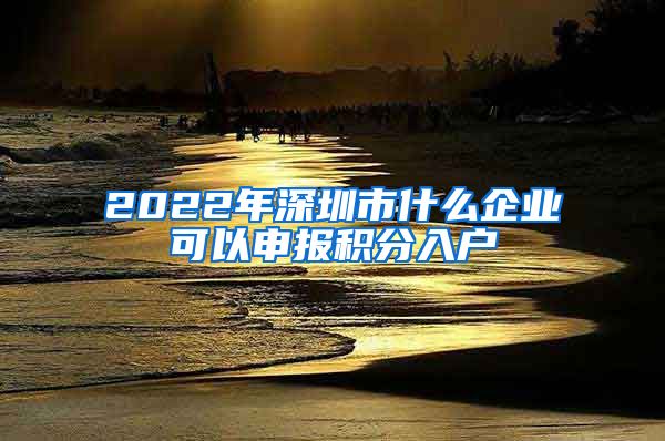 2022年深圳市什么企业可以申报积分入户