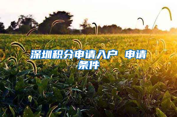 深圳积分申请入户 申请条件