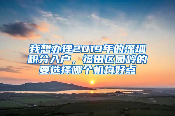 我想办理2019年的深圳积分入户，福田区园岭的要选择哪个机构好点