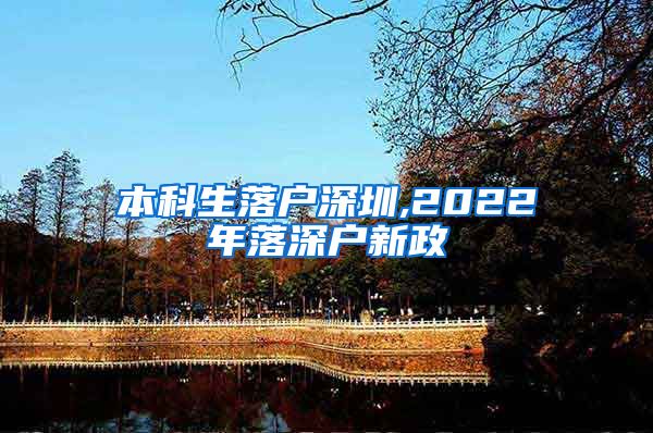 本科生落户深圳,2022年落深户新政