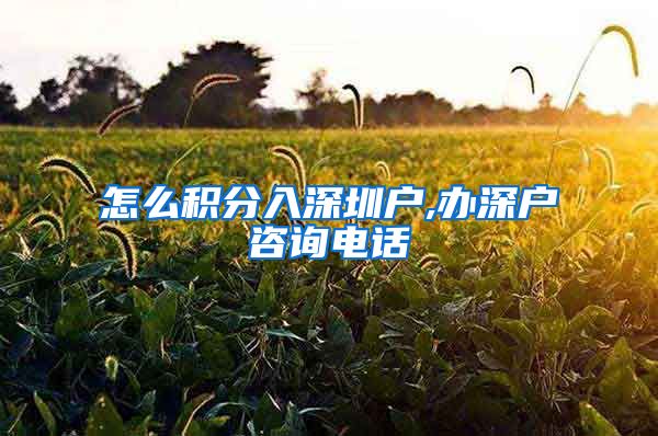 怎么积分入深圳户,办深户咨询电话