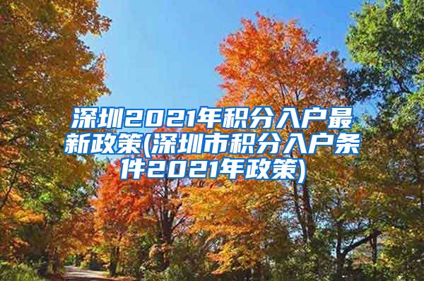 深圳2021年积分入户最新政策(深圳市积分入户条件2021年政策)