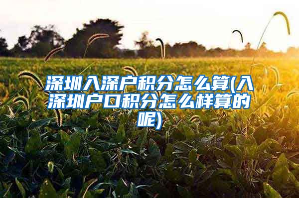 深圳入深户积分怎么算(入深圳户口积分怎么样算的呢)