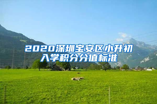 2020深圳宝安区小升初入学积分分值标准