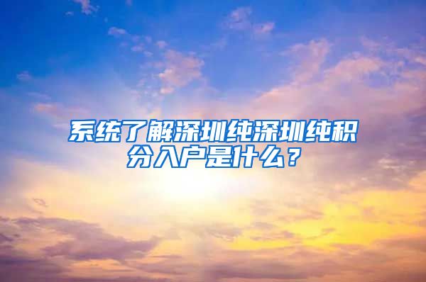 系统了解深圳纯深圳纯积分入户是什么？