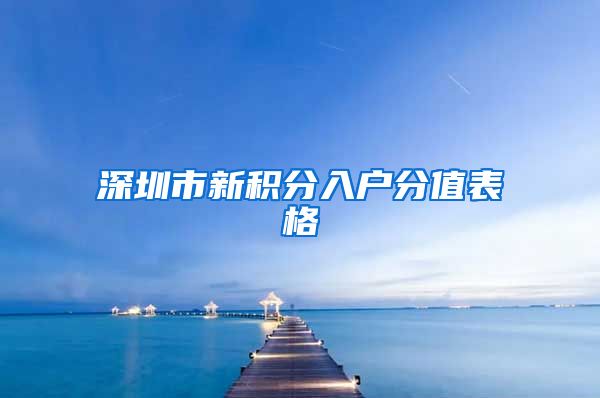 深圳市新积分入户分值表格