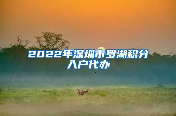 2022年深圳市罗湖积分入户代办