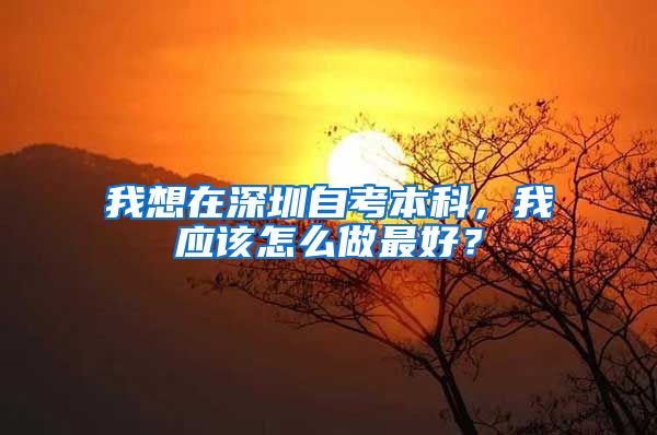 我想在深圳自考本科，我应该怎么做最好？