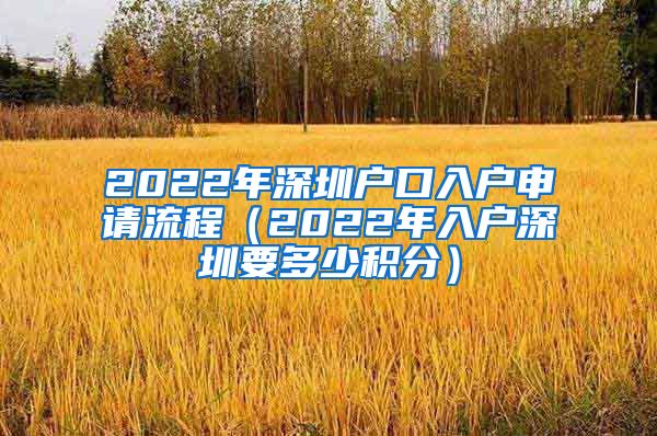 2022年深圳户口入户申请流程（2022年入户深圳要多少积分）