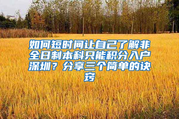 如何短时间让自己了解非全日制本科只能积分入户深圳？分享三个简单的诀窍