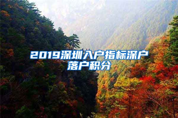 2019深圳入户指标深户落户积分