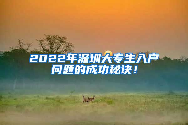 2022年深圳大专生入户问题的成功秘诀！