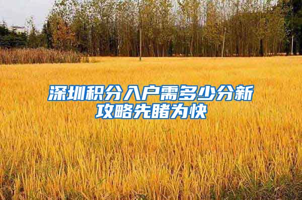 深圳积分入户需多少分新攻略先睹为快