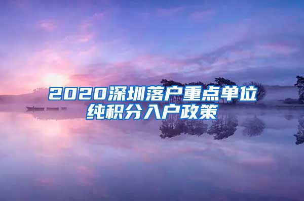 2020深圳落户重点单位纯积分入户政策