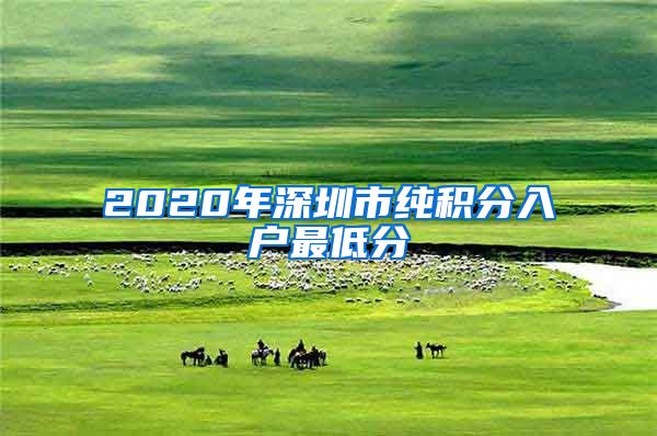 2020年深圳市纯积分入户最低分