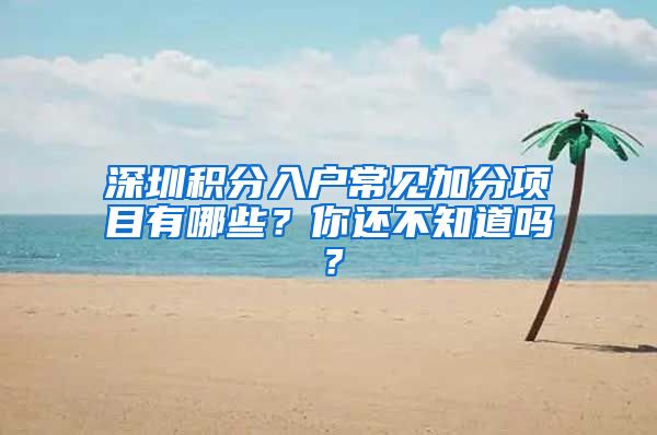 深圳积分入户常见加分项目有哪些？你还不知道吗？