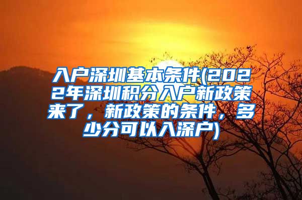 入户深圳基本条件(2022年深圳积分入户新政策来了，新政策的条件，多少分可以入深户)