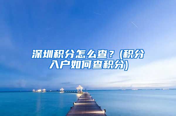 深圳积分怎么查？(积分入户如何查积分)