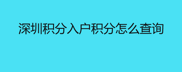 深圳积分入户积分怎么查询