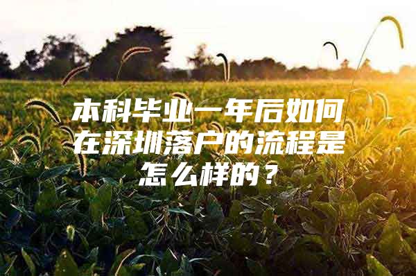 本科毕业一年后如何在深圳落户的流程是怎么样的？