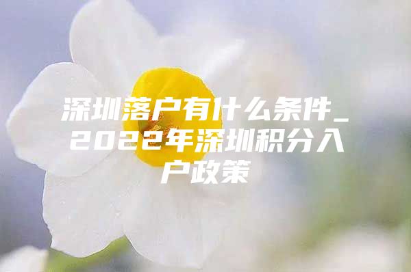 深圳落户有什么条件_2022年深圳积分入户政策