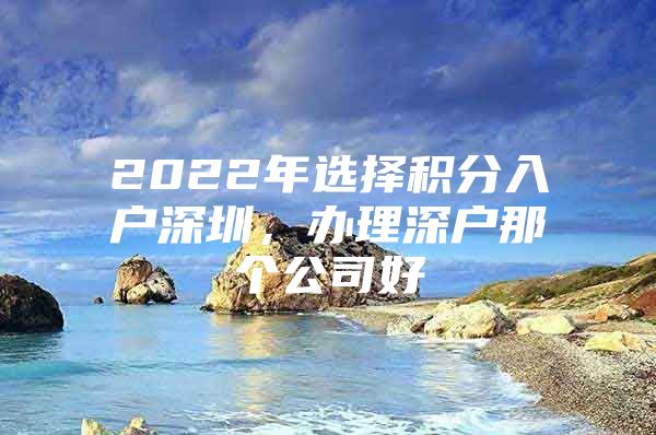 2022年选择积分入户深圳，办理深户那个公司好