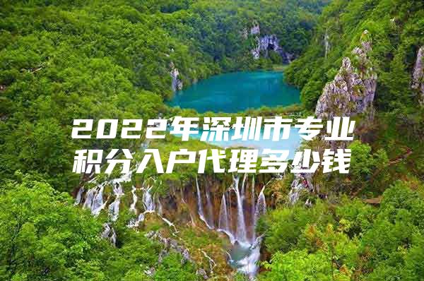 2022年深圳市专业积分入户代理多少钱