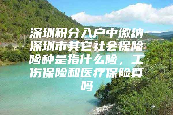 深圳积分入户中缴纳深圳市其它社会保险险种是指什么险，工伤保险和医疗保险算吗