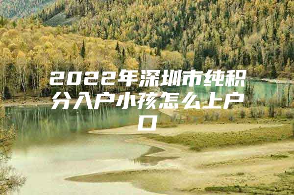 2022年深圳市纯积分入户小孩怎么上户口