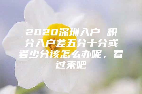 2020深圳入户 积分入户差五分十分或者少分该怎么办呢，看过来吧