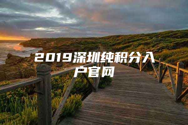 2019深圳纯积分入户官网