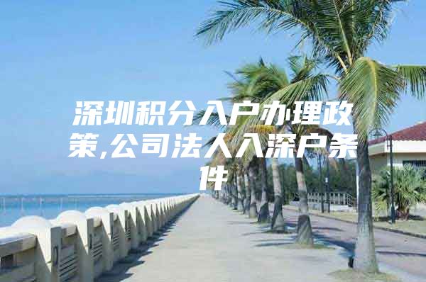 深圳积分入户办理政策,公司法人入深户条件