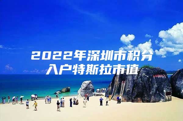 2022年深圳市积分入户特斯拉市值