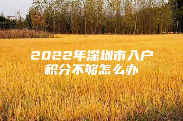 2022年深圳市入户积分不够怎么办