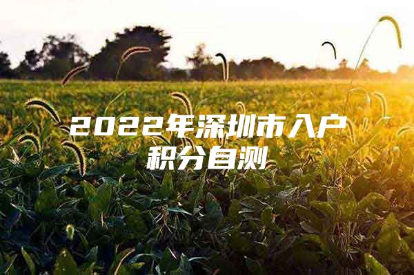 2022年深圳市入户积分自测