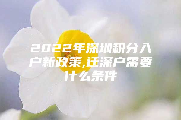 2022年深圳积分入户新政策,迁深户需要什么条件