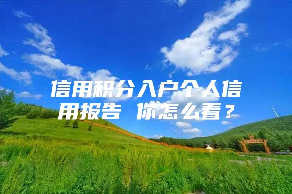 信用积分入户个人信用报告 你怎么看？