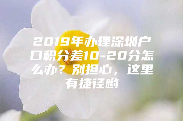 2019年办理深圳户口积分差10-20分怎么办？别担心，这里有捷径哟