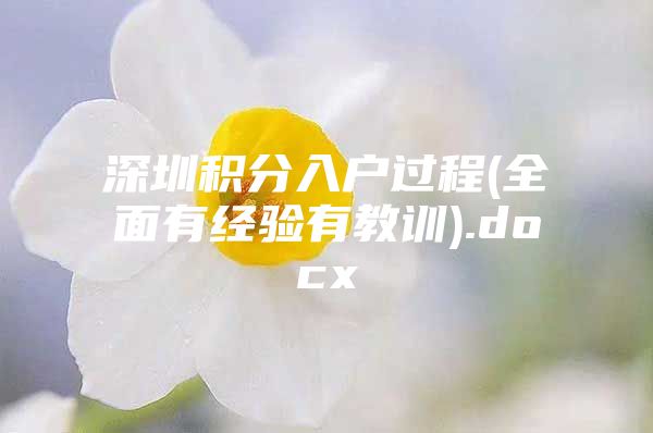 深圳积分入户过程(全面有经验有教训).docx